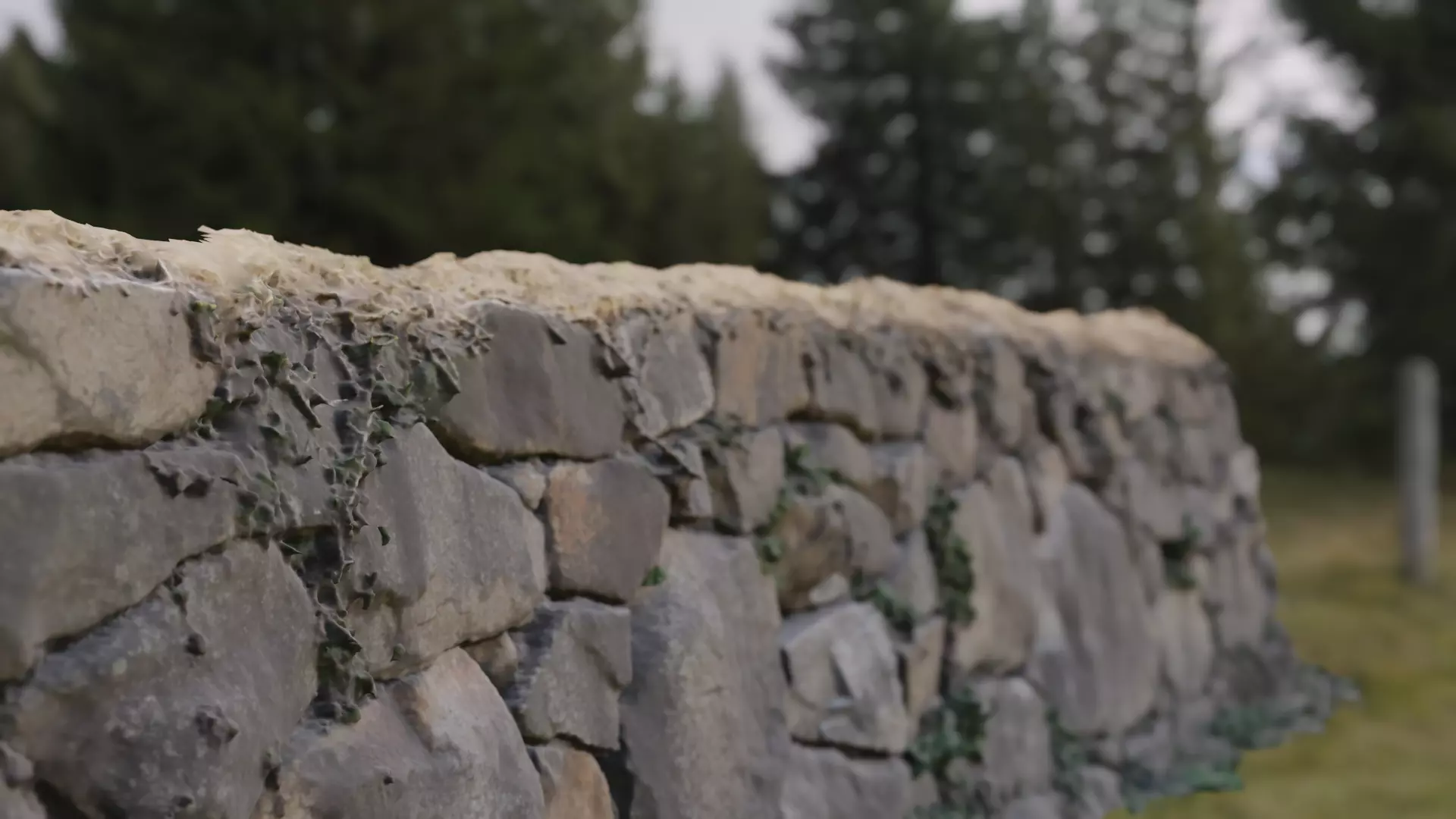 A stone wall on a closed site 3D model_0