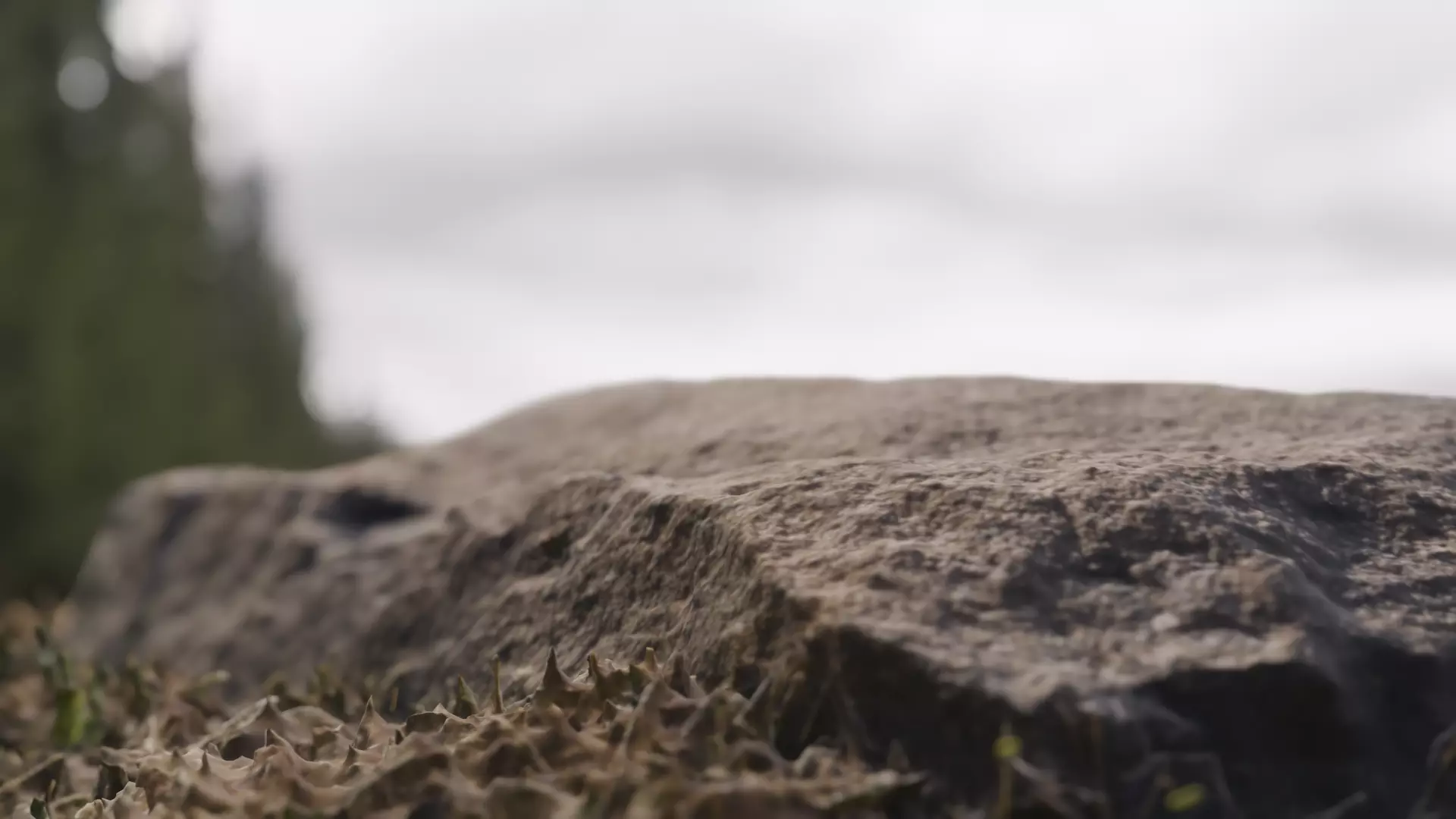 A stone in a dead temple site 1 3D model_0