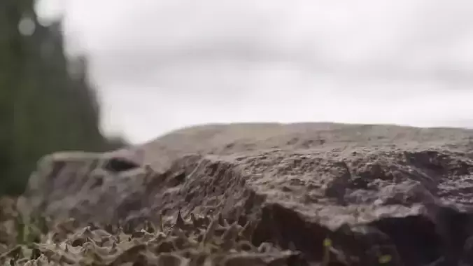 A stone in a dead temple site 1