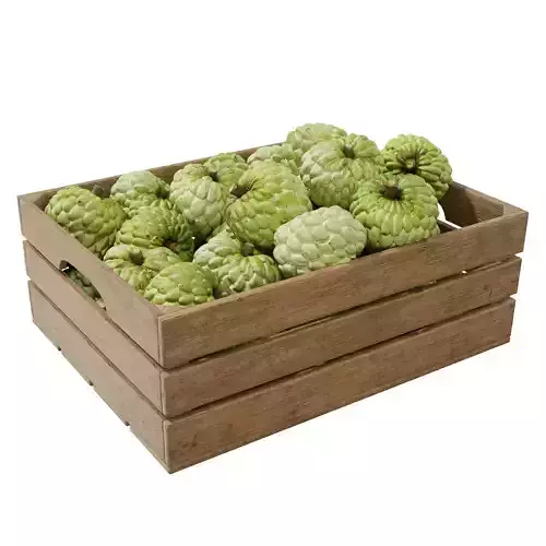 annona squamosa crates 3D model