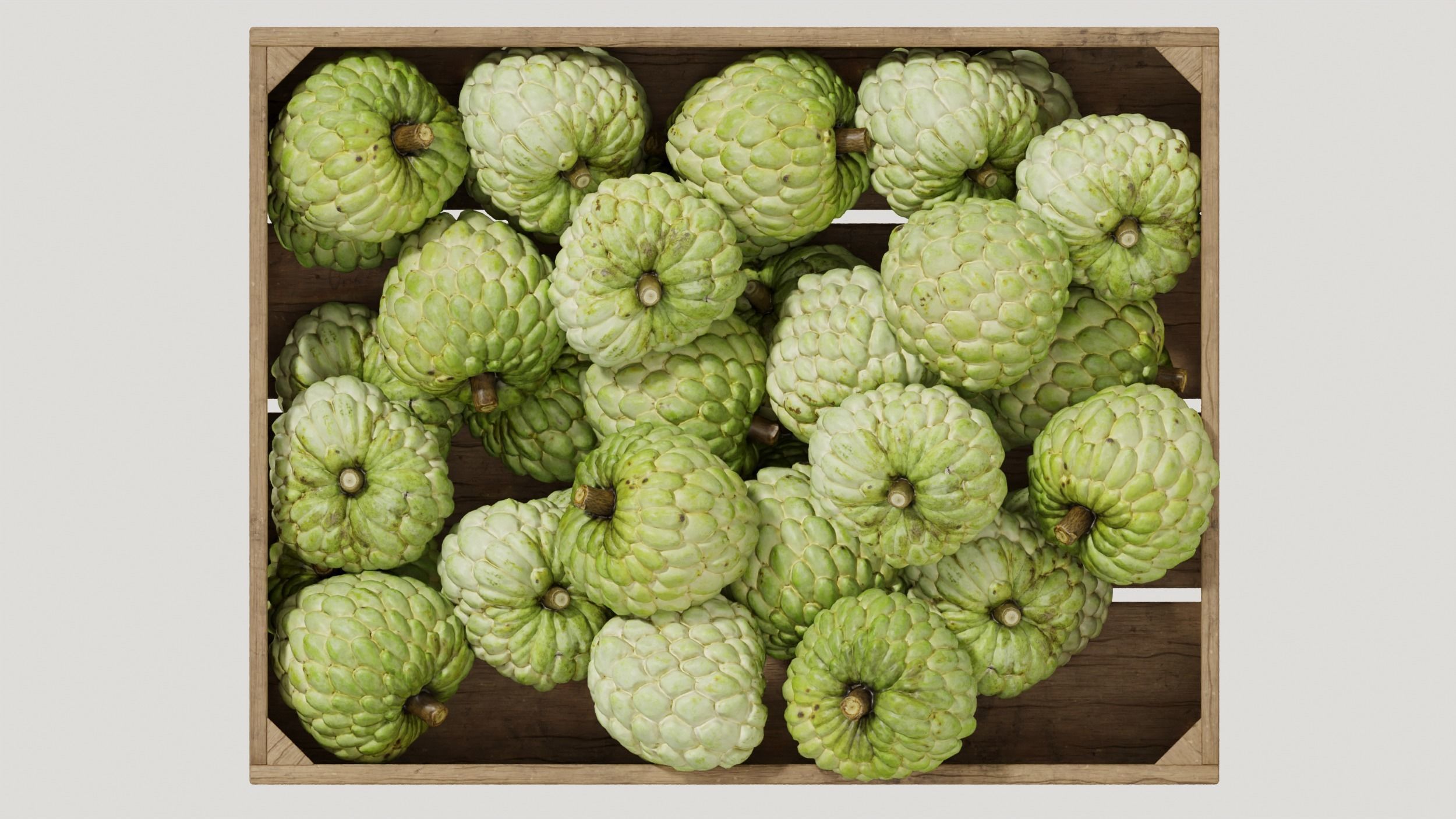 annona squamosa crates 3D model_7