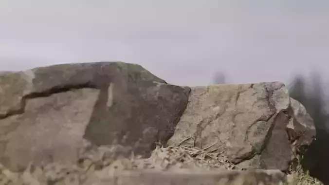 A stone in a dead temple site 2