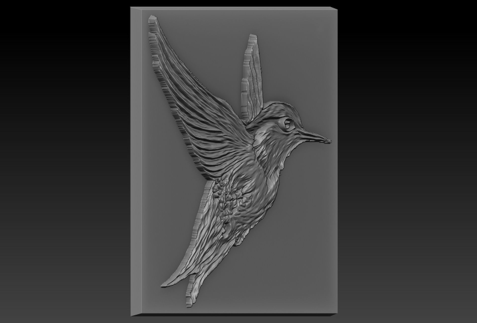 Birdd plastic plate with holes 3D print model_1