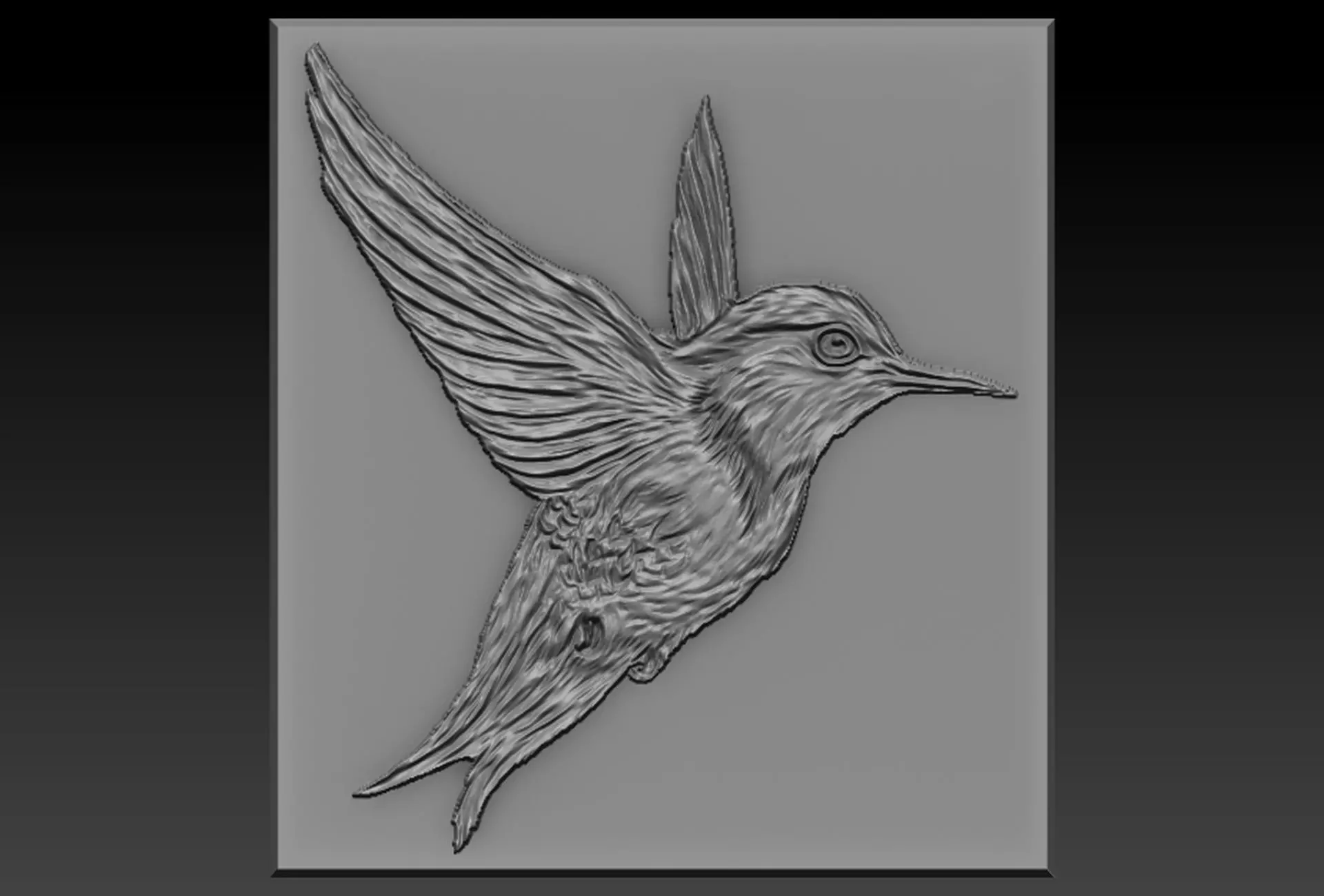 Birdd plastic plate with holes 3D print model_0