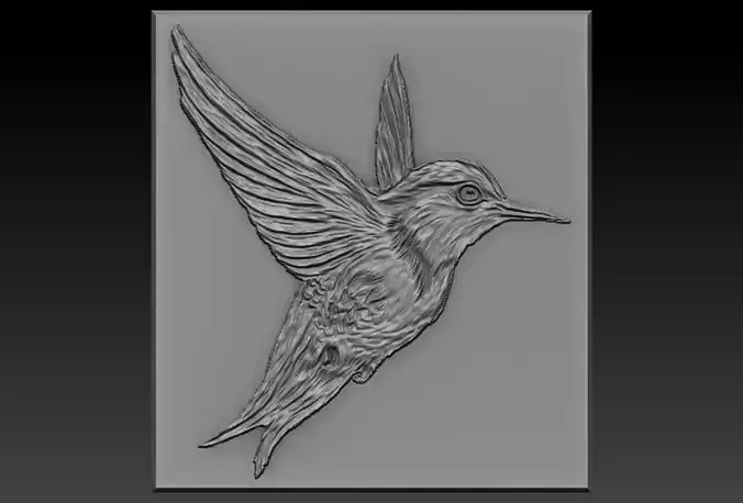 Birdd plastic plate with holes