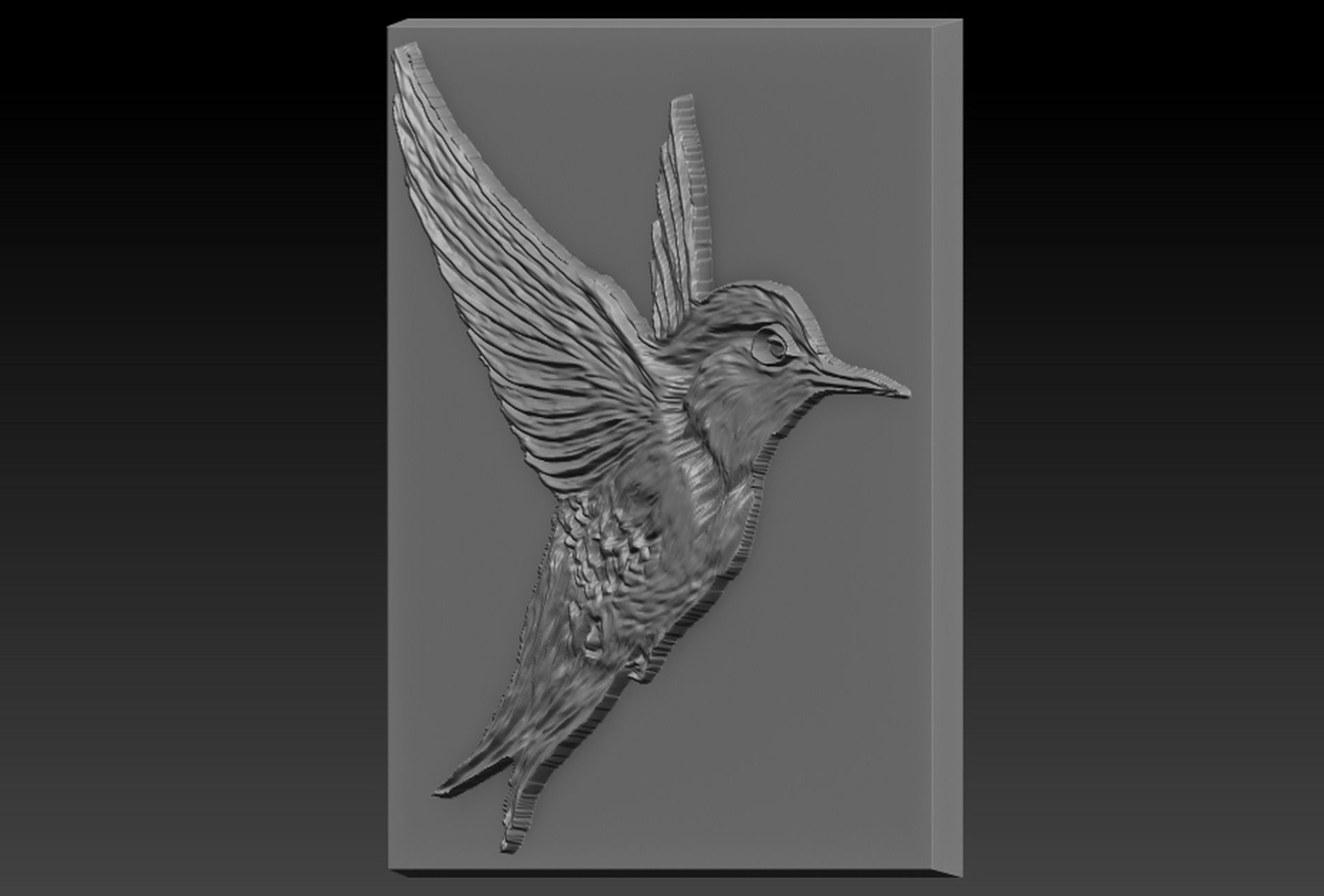 Birdd plastic plate with holes 3D print model_2