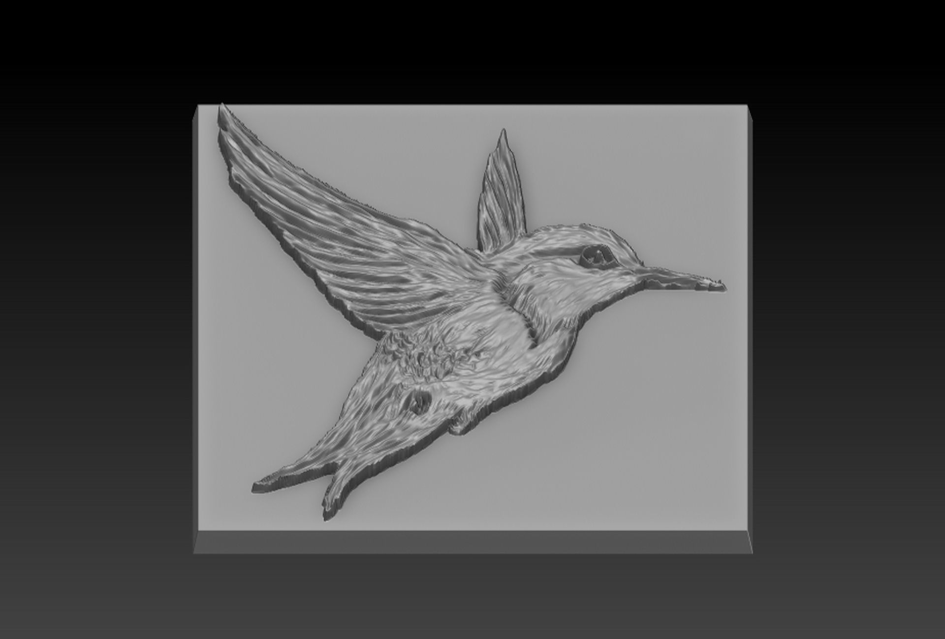 Birdd plastic plate with holes 3D print model_4