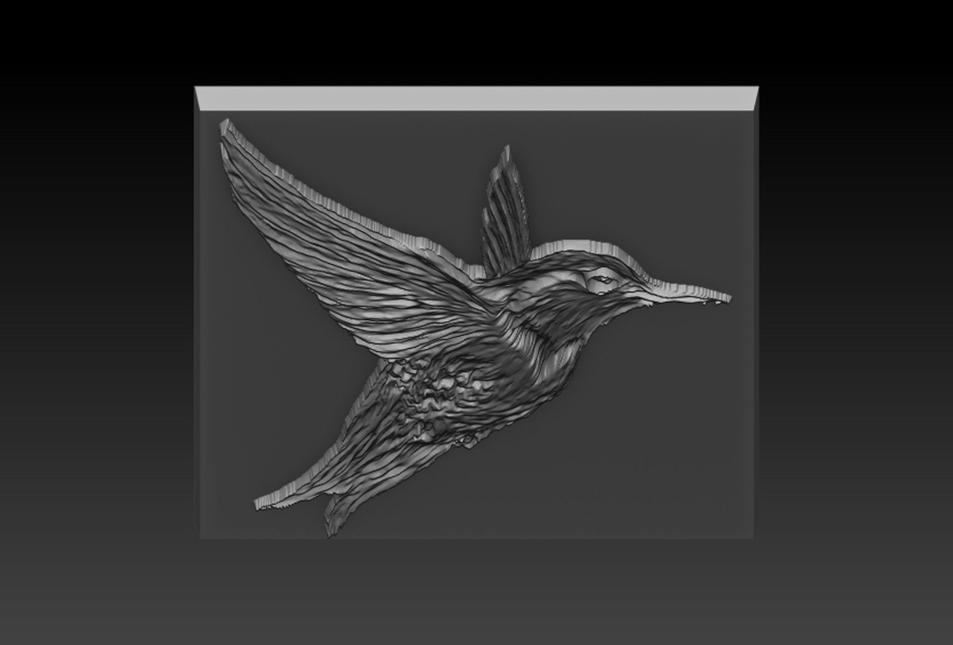 Birdd plastic plate with holes 3D print model_3