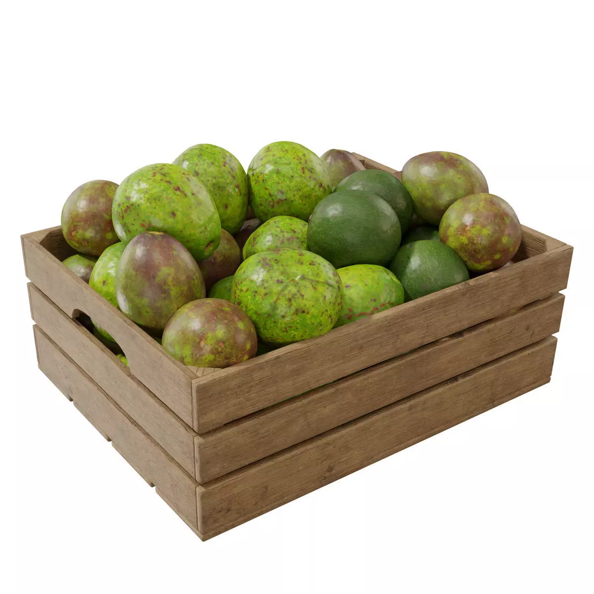 avocado crates  3D model_0