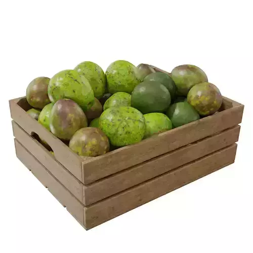 avocado crates  3D model