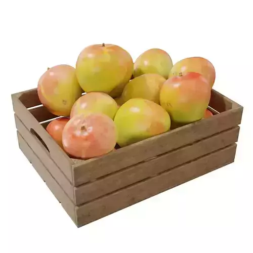 Bowen Special Mangoes crates 3D model