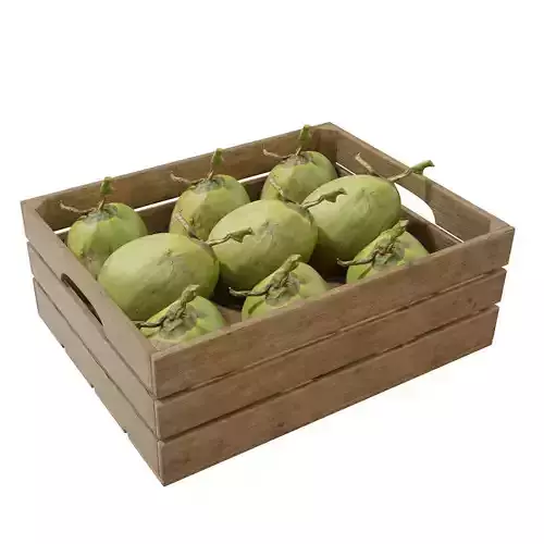 Coconut crates 3D model