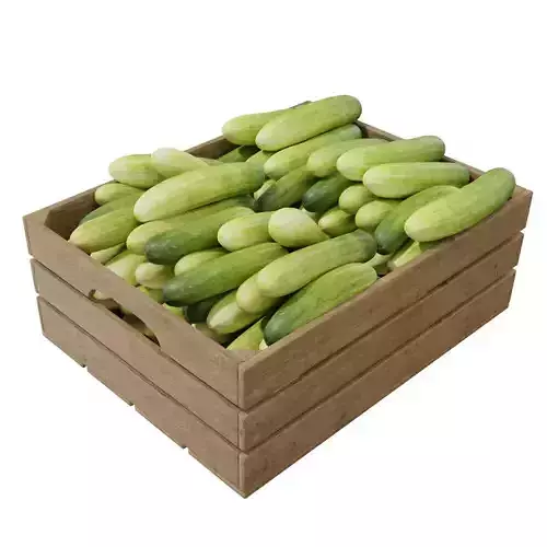 Cucumber crates 3D model