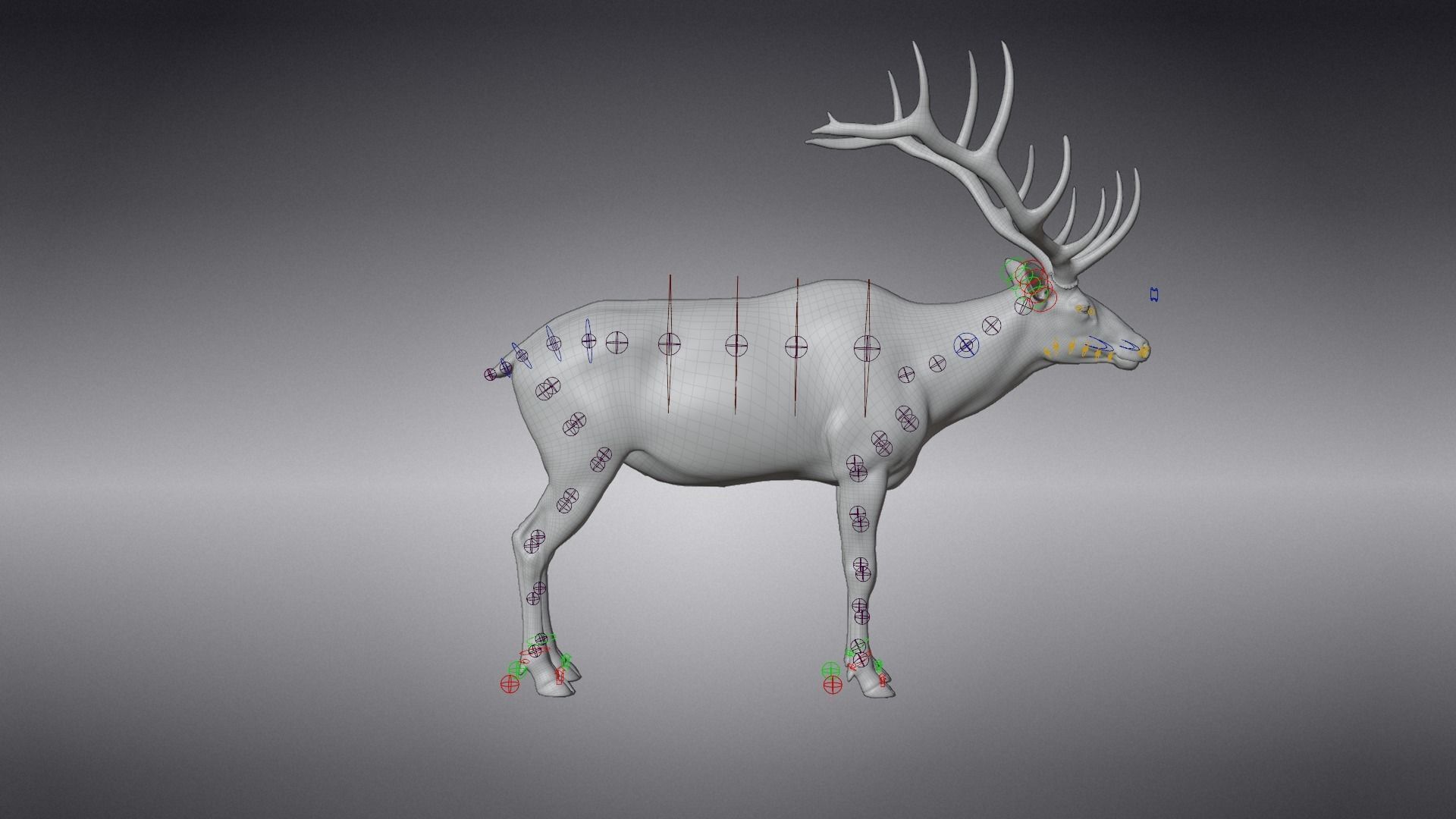 Male Elk Animated VFX Grace 3D model_20