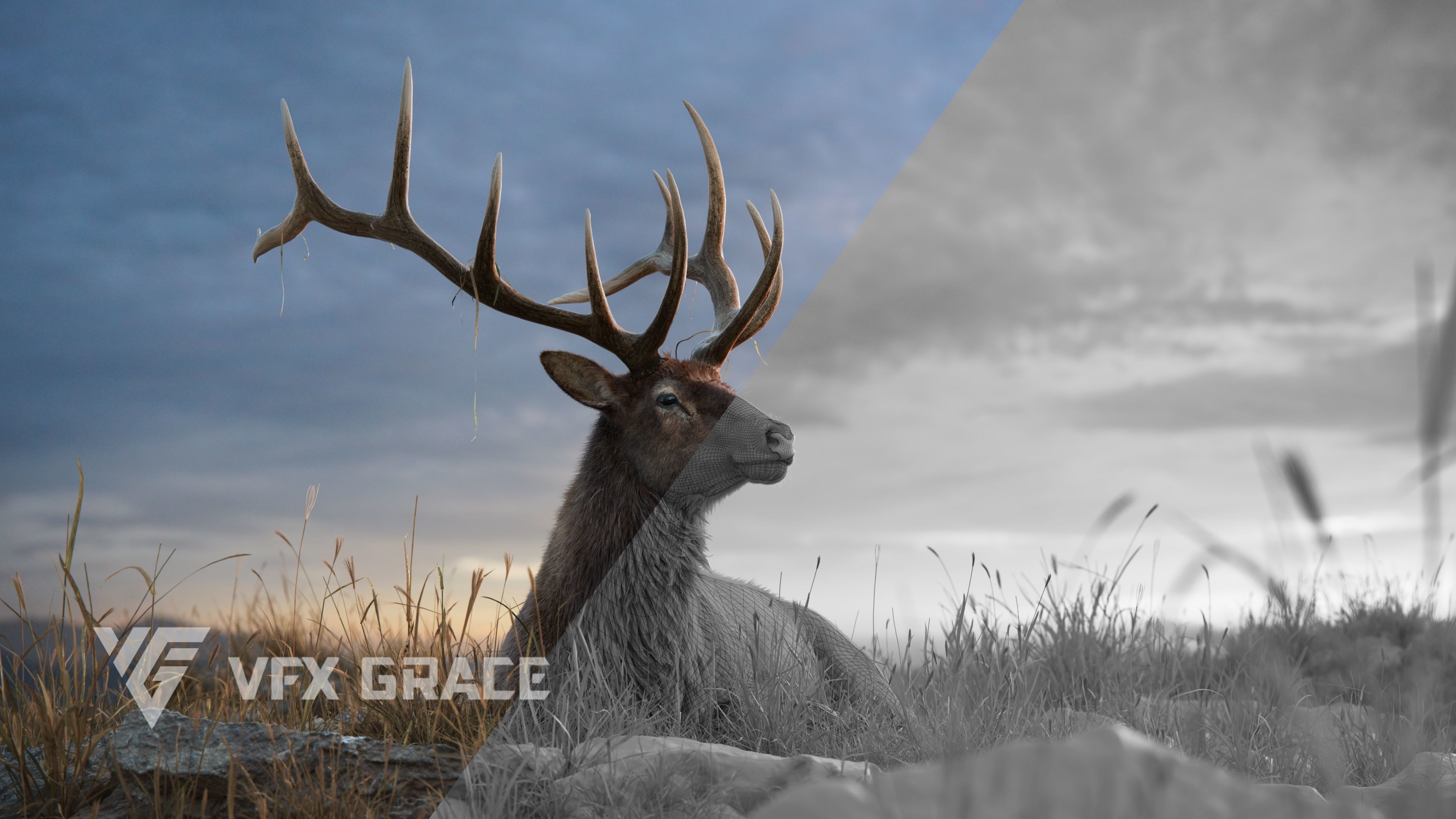 Male Elk Animated VFX Grace 3D model_10