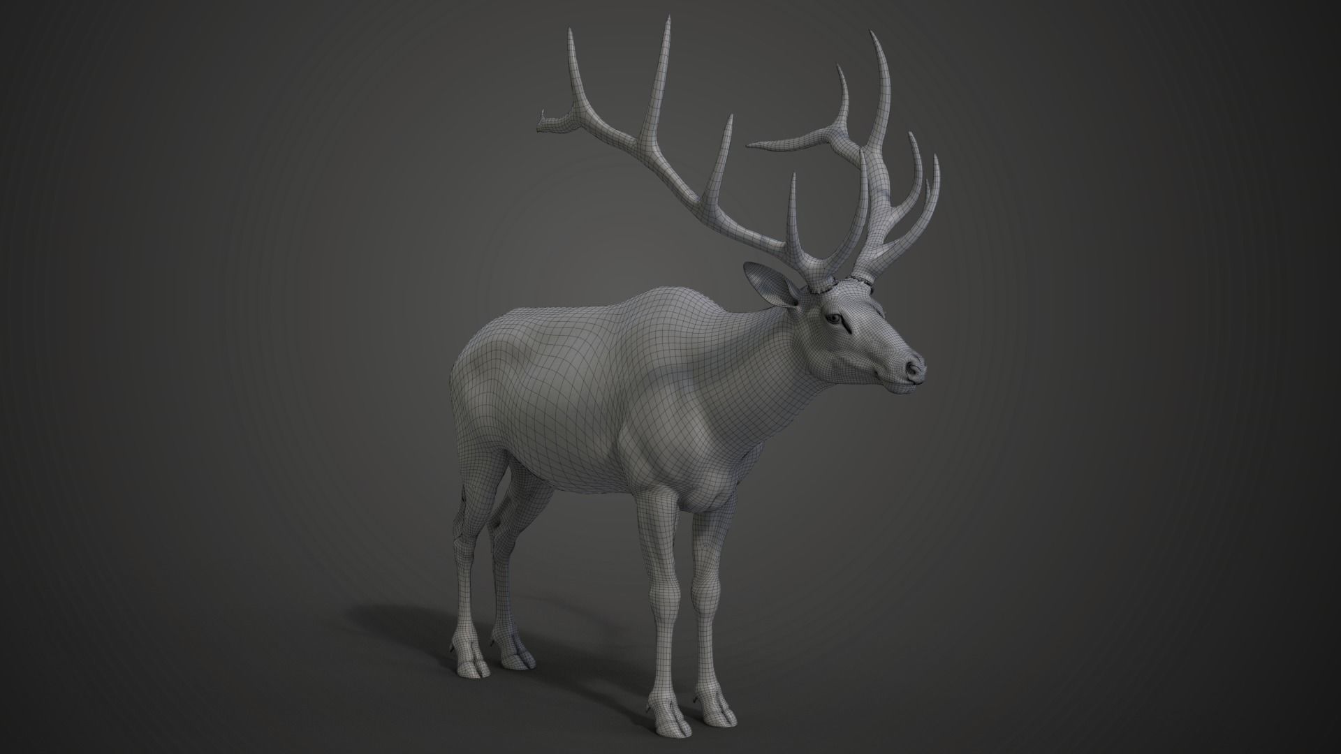 Male Elk Animated VFX Grace 3D model_29