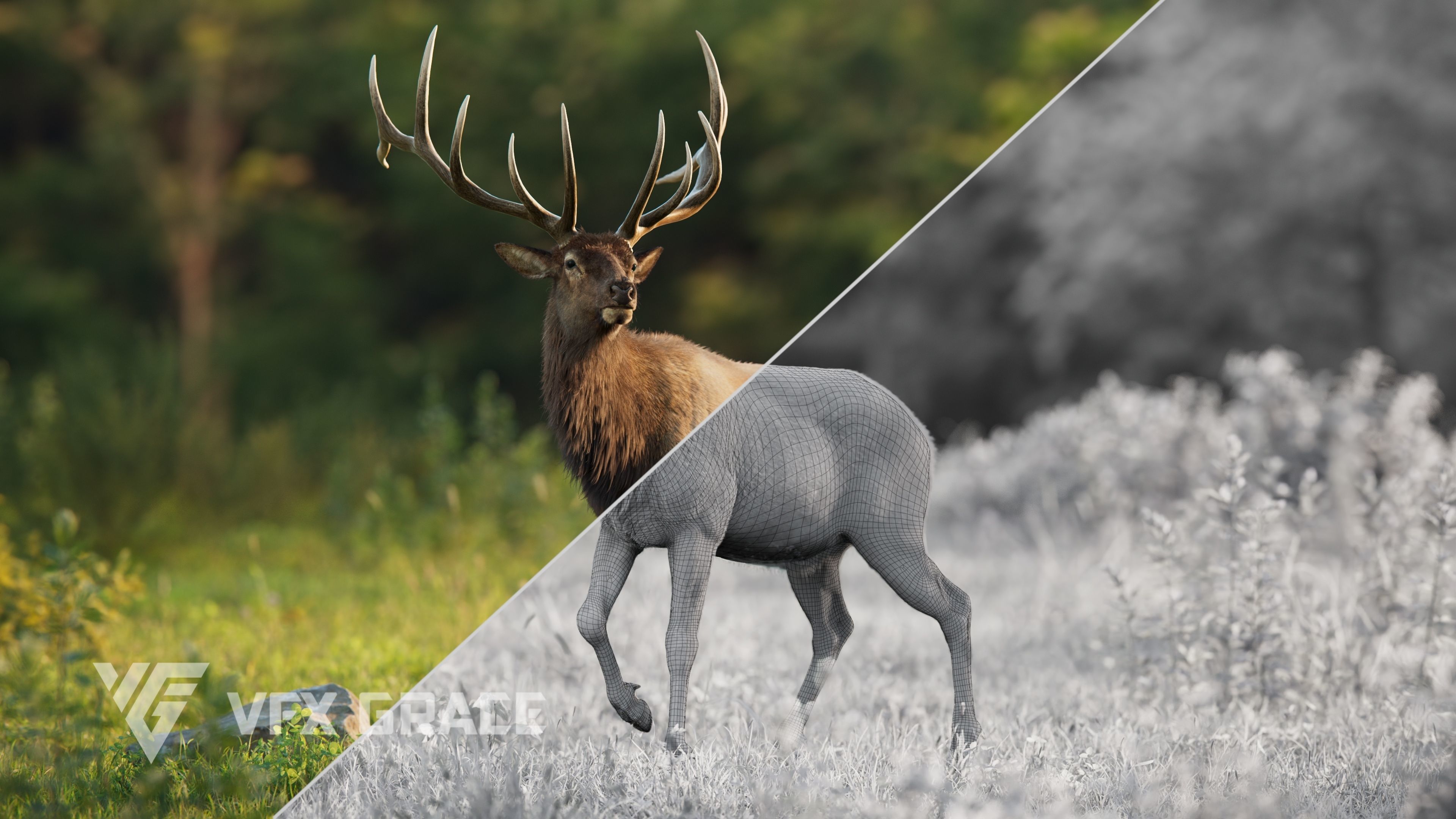 Male Elk Animated VFX Grace 3D model_12