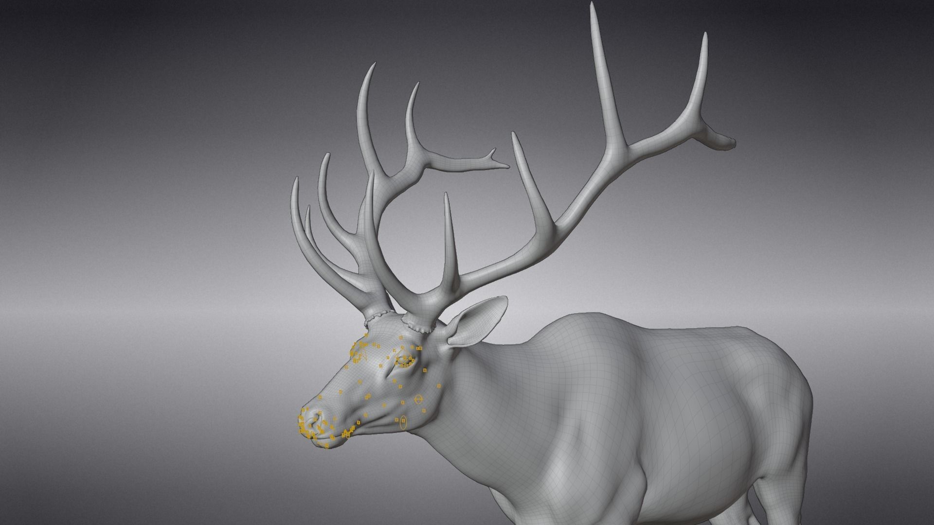 Male Elk Animated VFX Grace 3D model_23