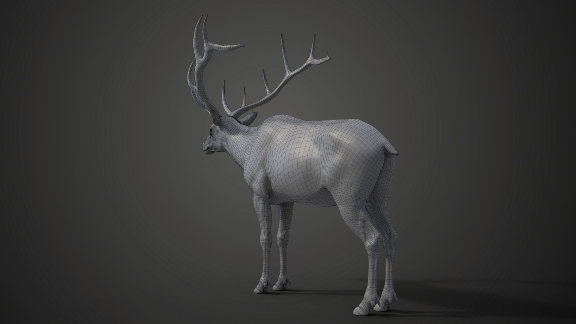 Male Elk Animated VFX Grace 3D model_27