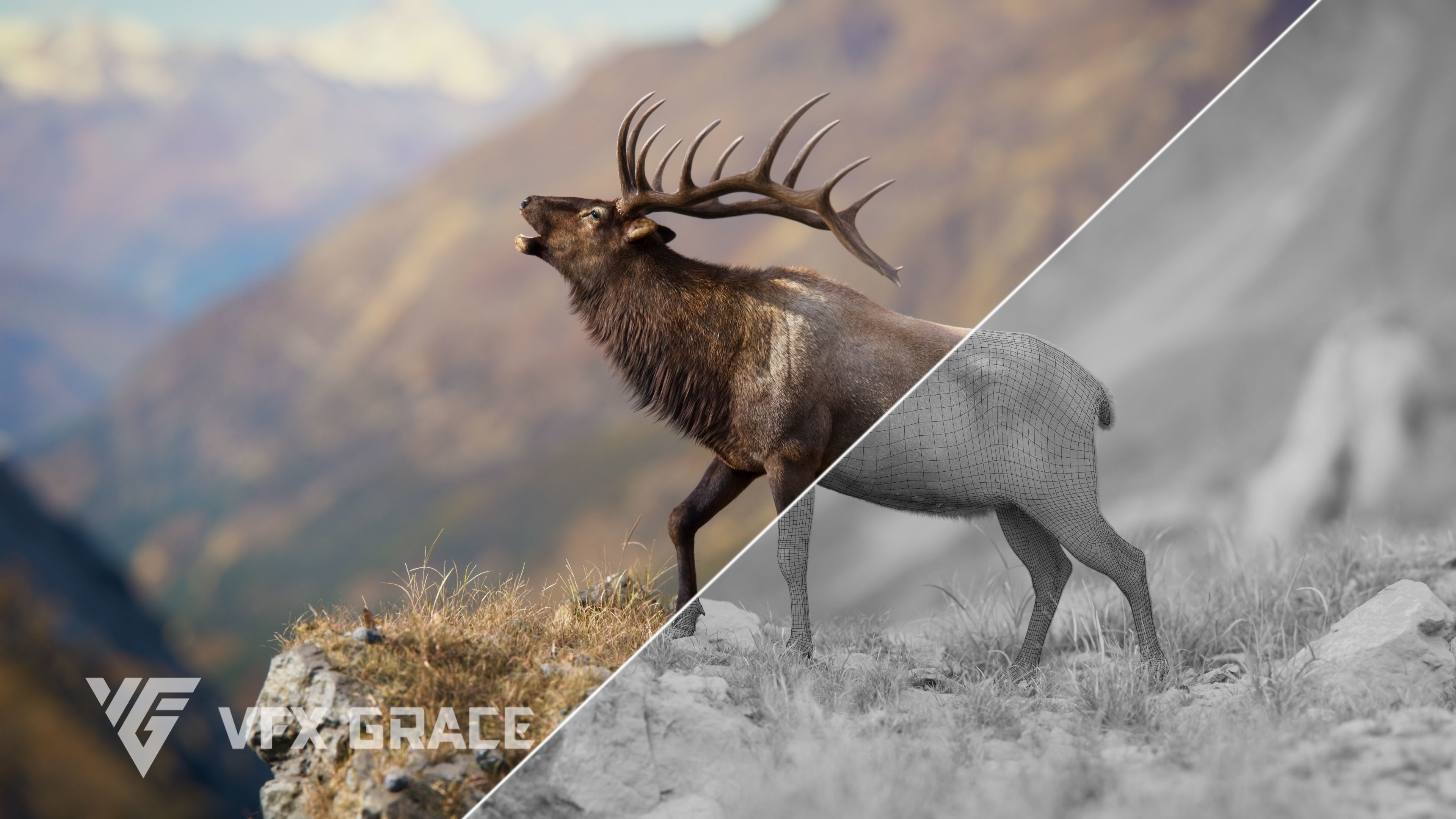 Male Elk Animated VFX Grace 3D model_8