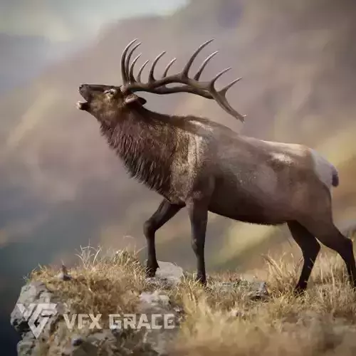 Male Elk Animated VFX Grace 3D model