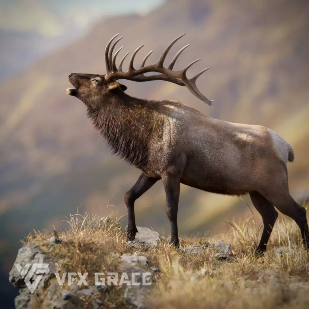 Male Elk Animated VFX Grace 3D model_0