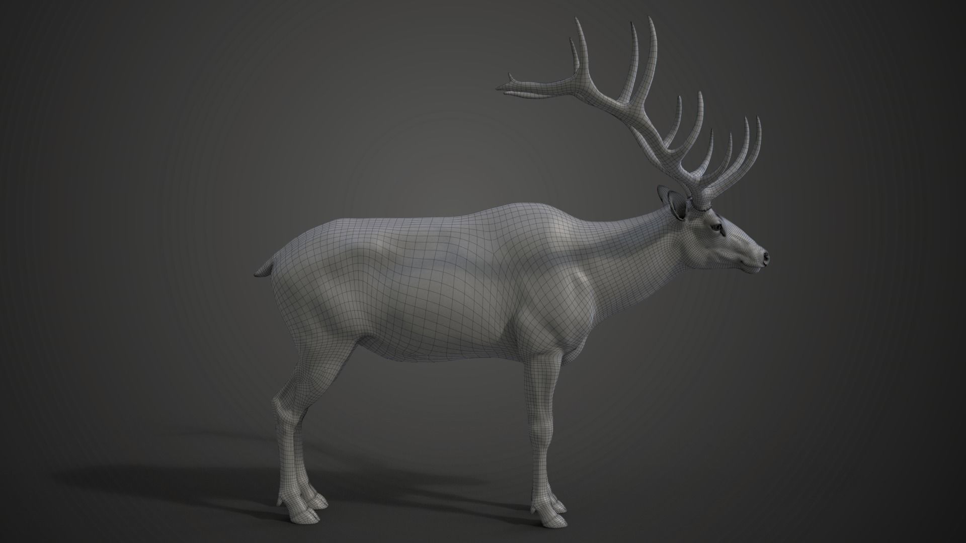 Male Elk Animated VFX Grace 3D model_28