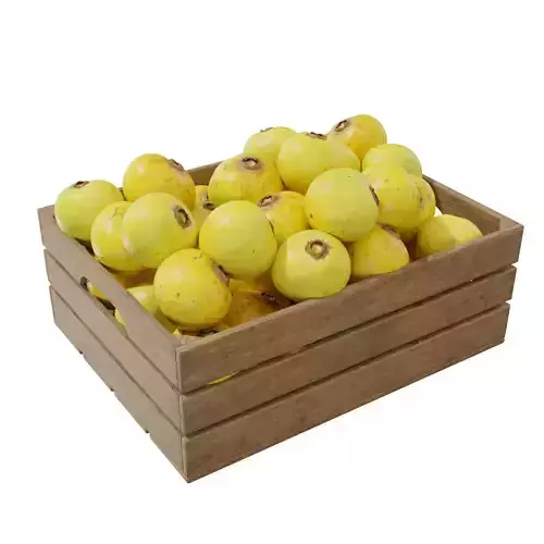 diospyros decandra crates 3D model