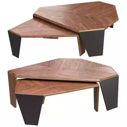 Tortuga table by Porada