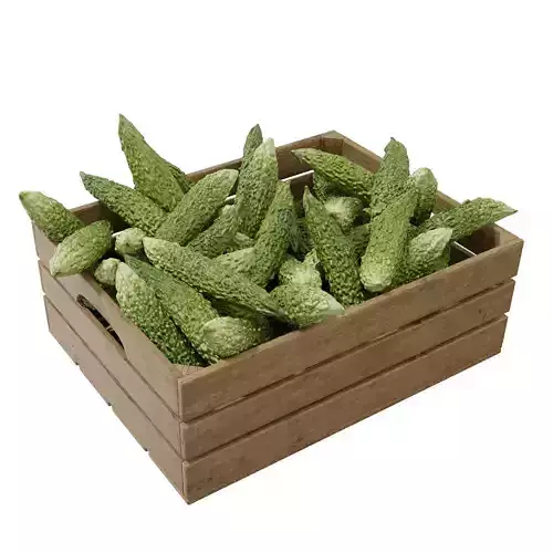 Japanese bitter melon crates  3D model