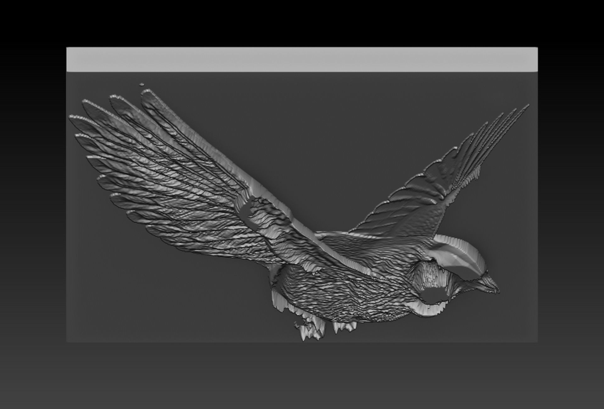 Birdd plate with two holes 3D print model_3