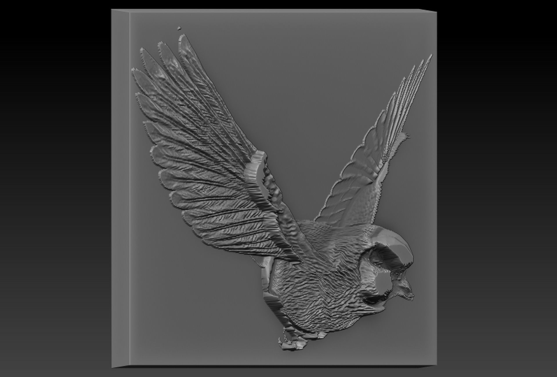 Birdd plate with two holes 3D print model_1