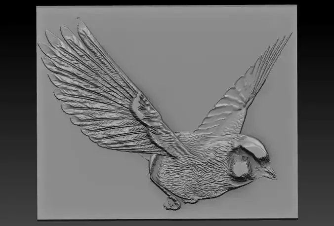 Birdd plate with two holes