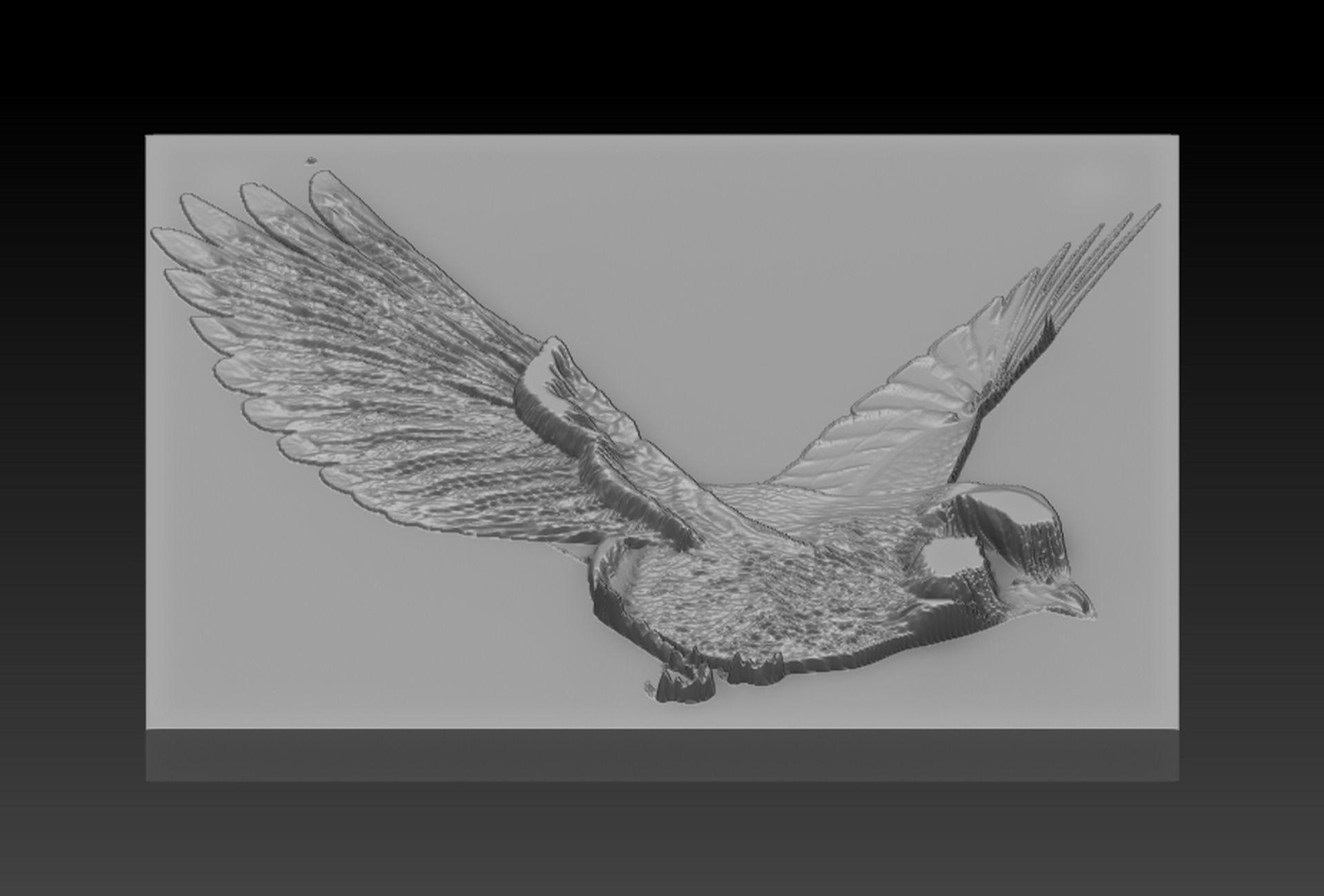 Birdd plate with two holes 3D print model_4