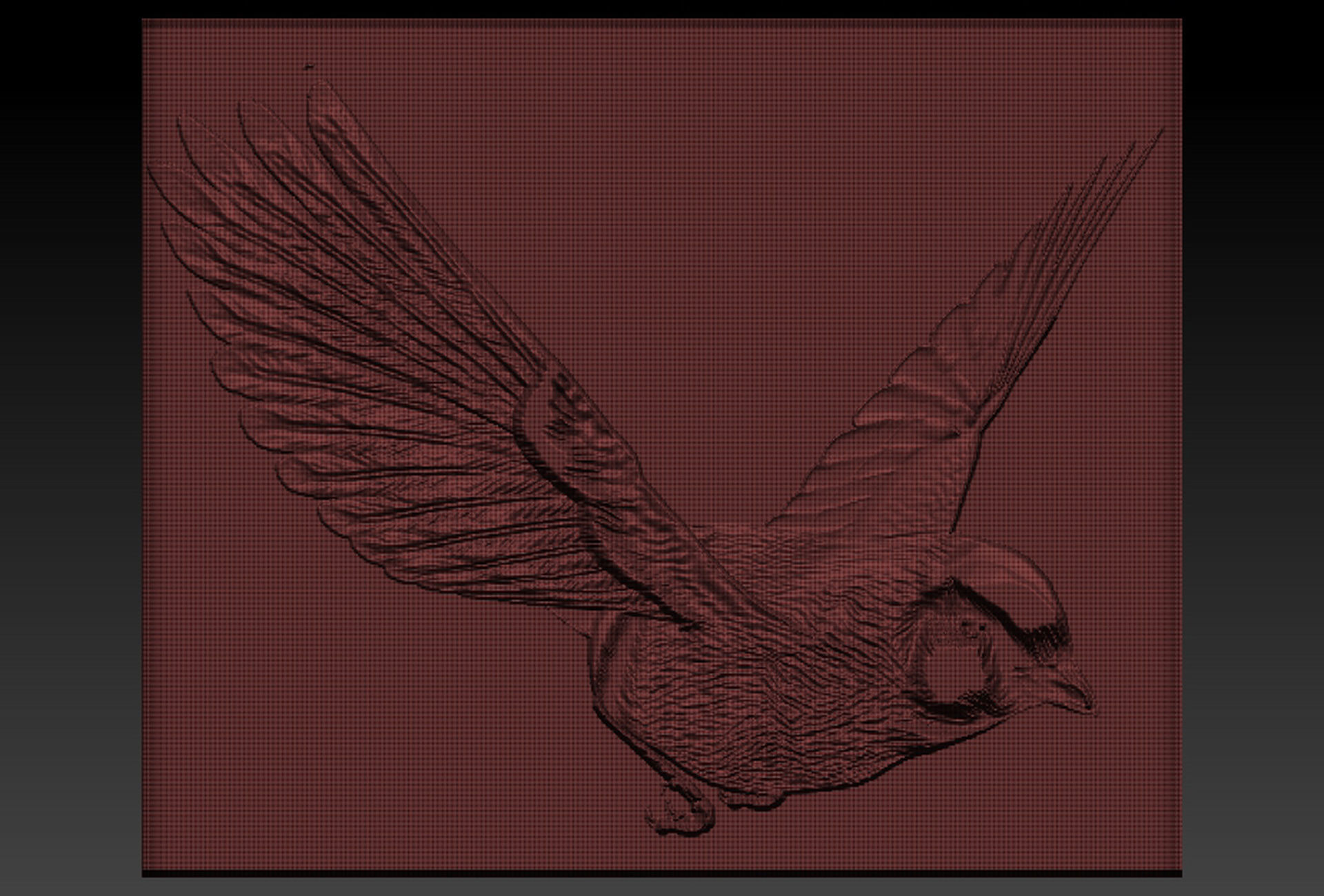 Birdd plate with two holes 3D print model_6