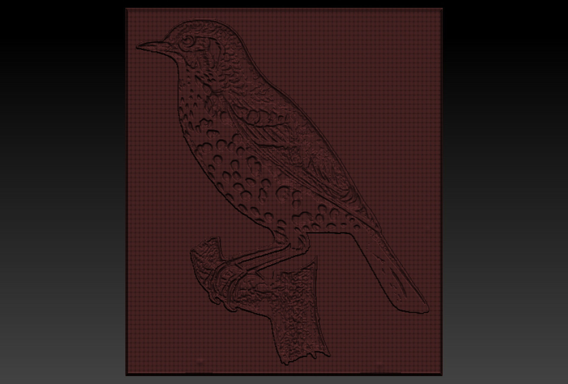 Birdd plastic plate with holes 3D print model_5