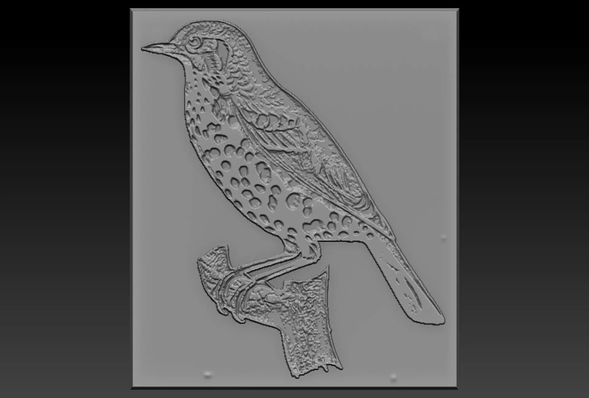 Birdd plastic plate with holes 3D print model_0