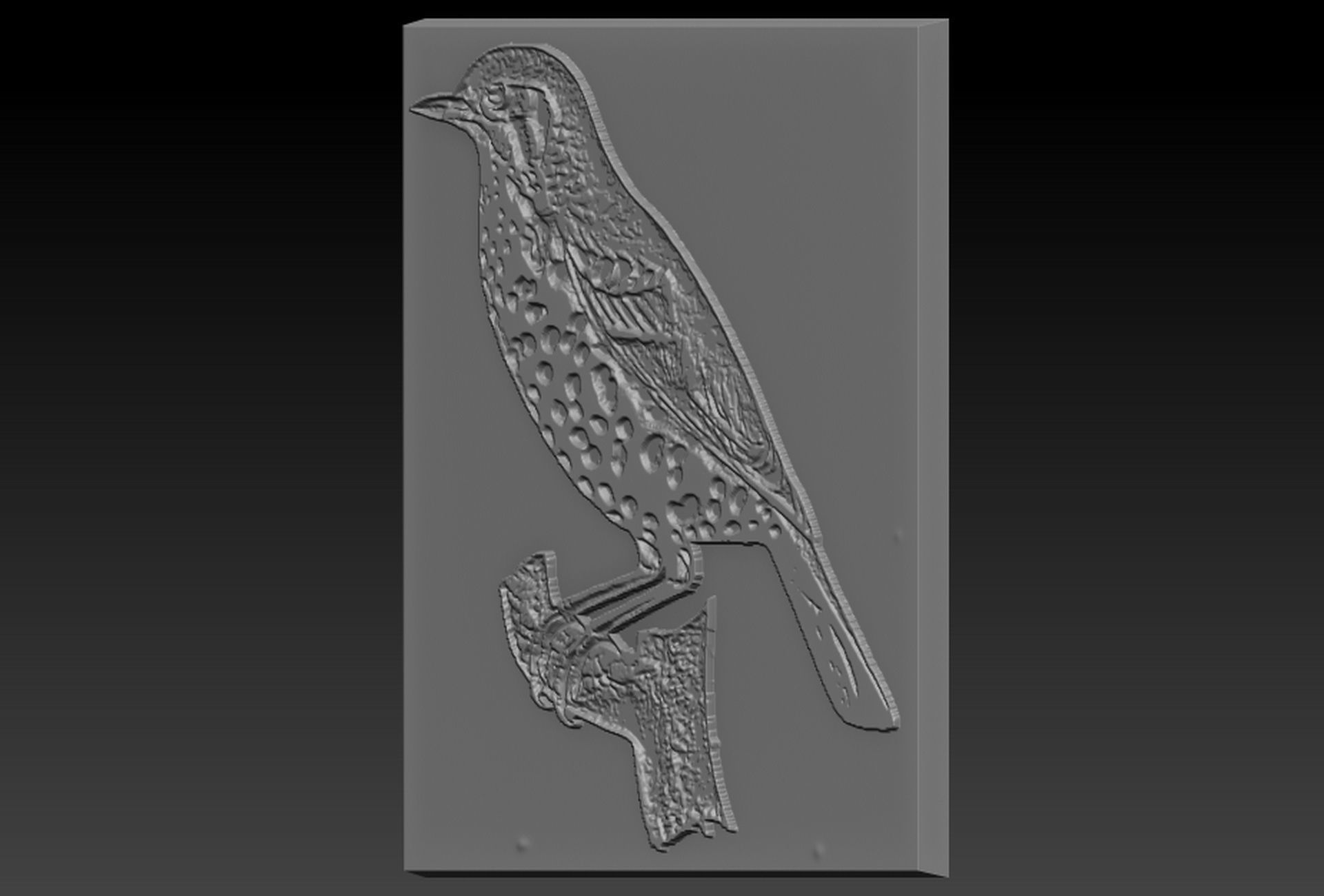 Birdd plastic plate with holes 3D print model_1