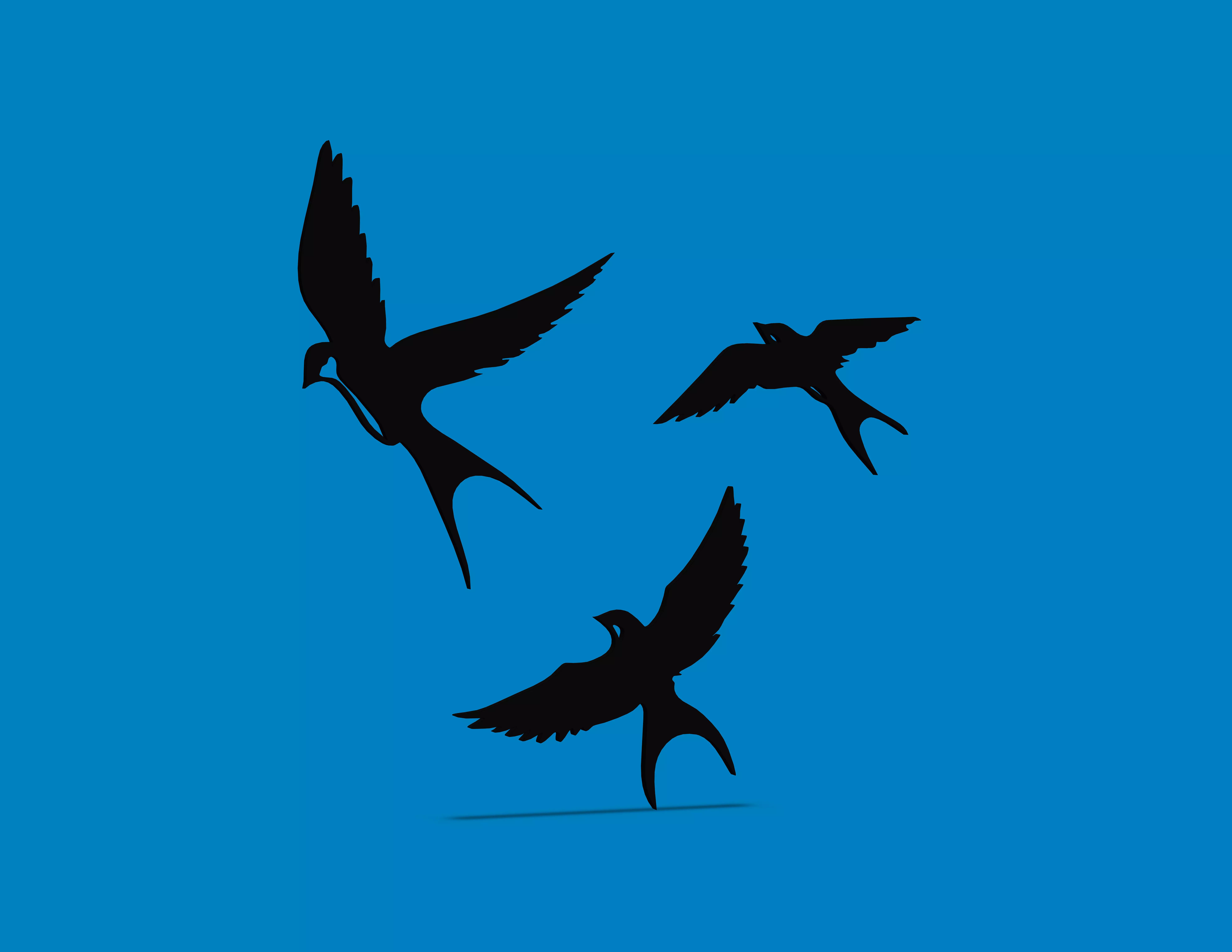 WALL ART BIRDS 3D print model