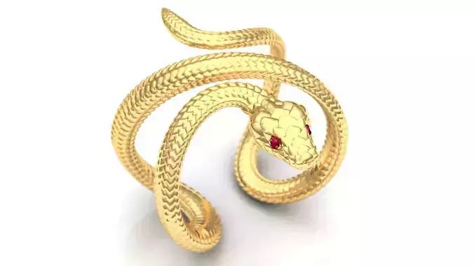 Ring Snake 