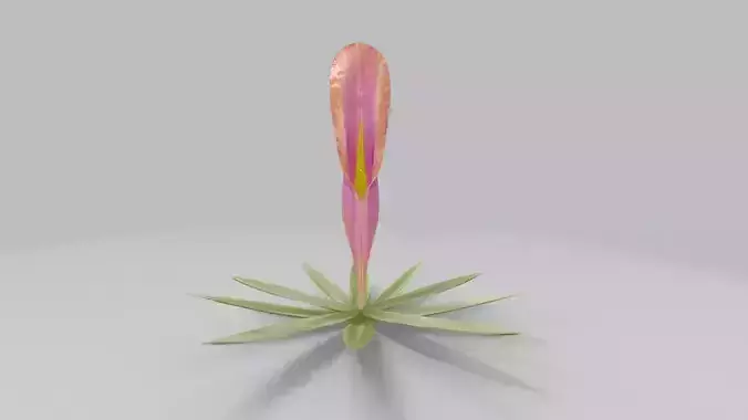 Fantasy Flower Plant