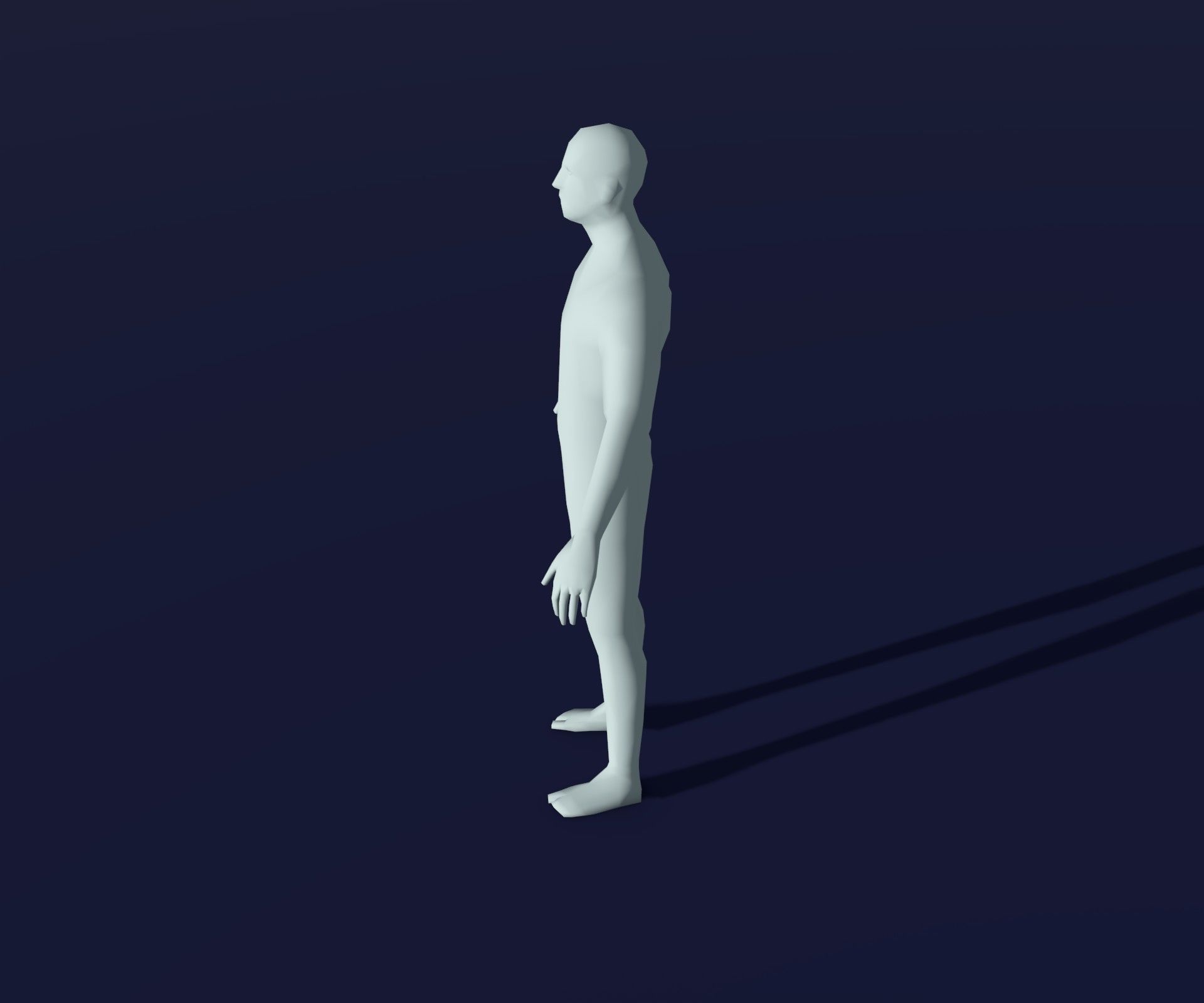 Male Female Body Base Mesh 28 Animations 3D Model 1k Polygons Low-poly 3D model_42