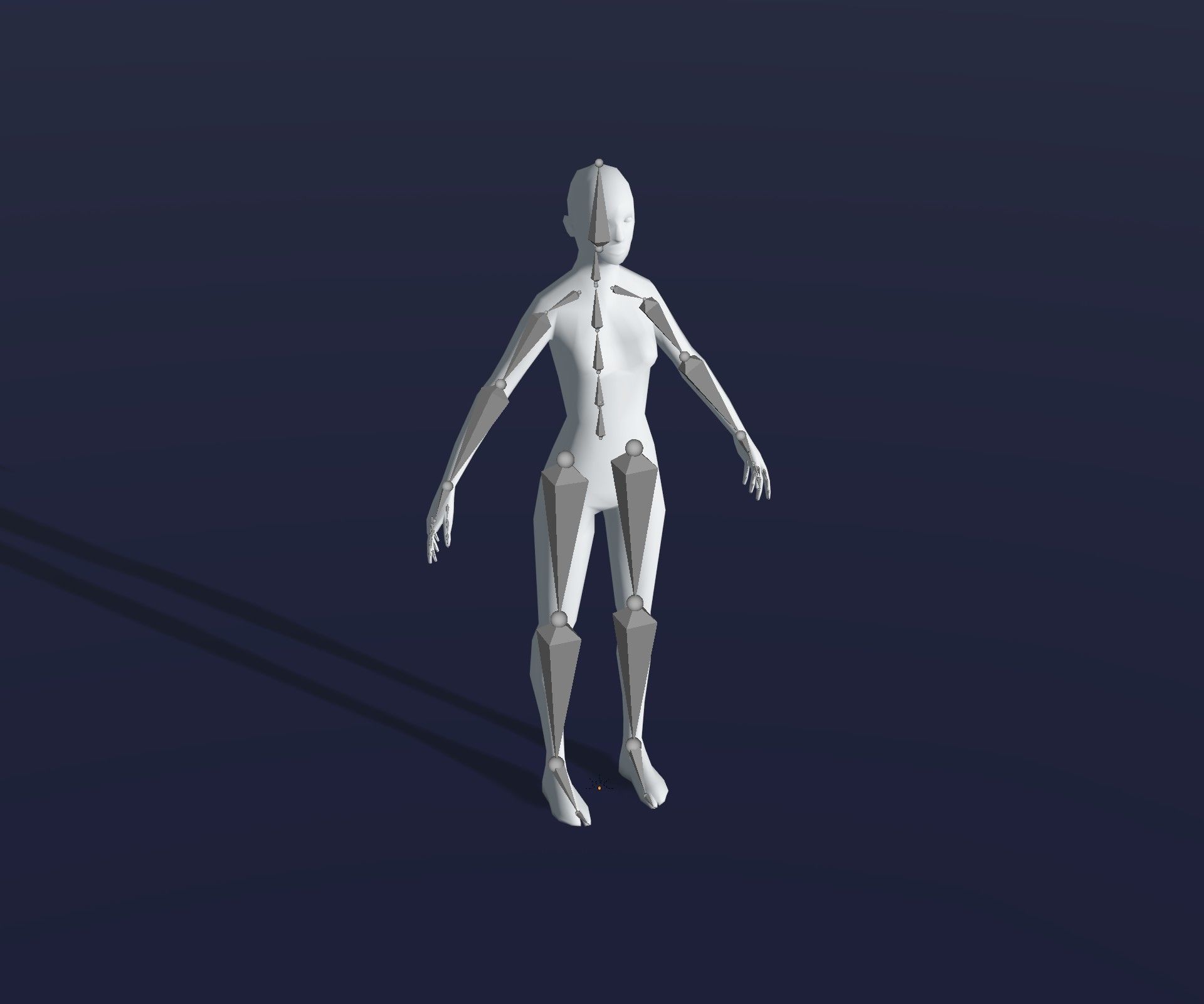 Male Female Body Base Mesh 28 Animations 3D Model 1k Polygons Low-poly 3D model_7