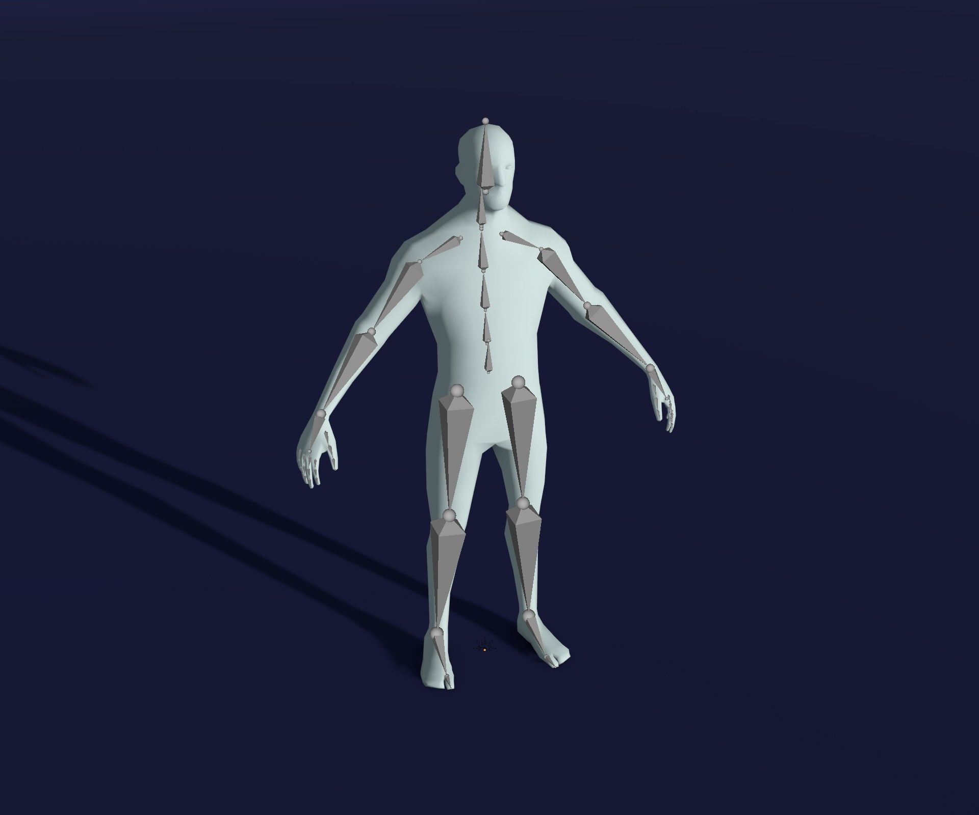 Male Female Body Base Mesh 28 Animations 3D Model 1k Polygons Low-poly 3D model_27