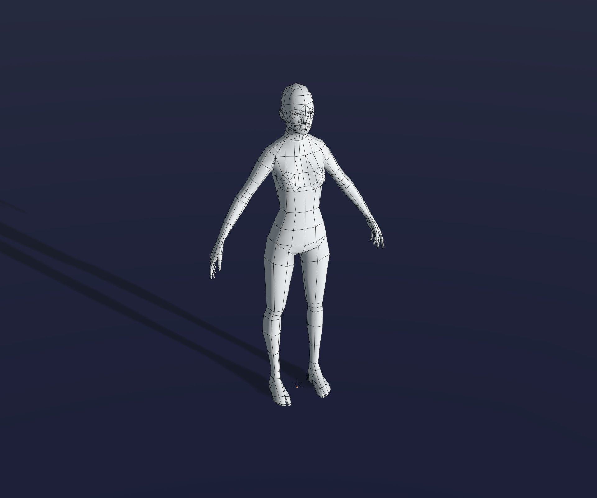 Male Female Body Base Mesh 28 Animations 3D Model 1k Polygons 3D Model Collection_5