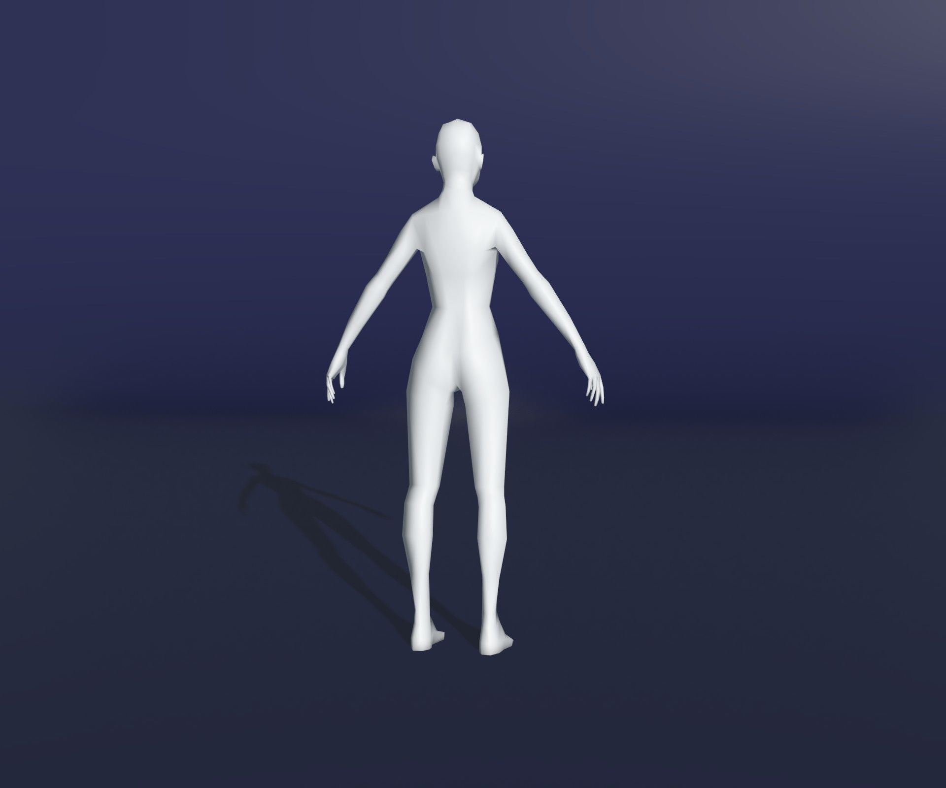 Male Female Body Base Mesh 28 Animations 3D Model 1k Polygons 3D Model Collection_18