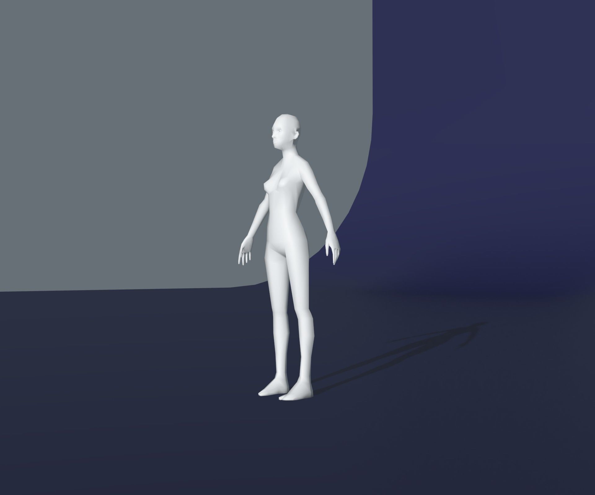 Male Female Body Base Mesh 28 Animations 3D Model 1k Polygons 3D Model Collection_11