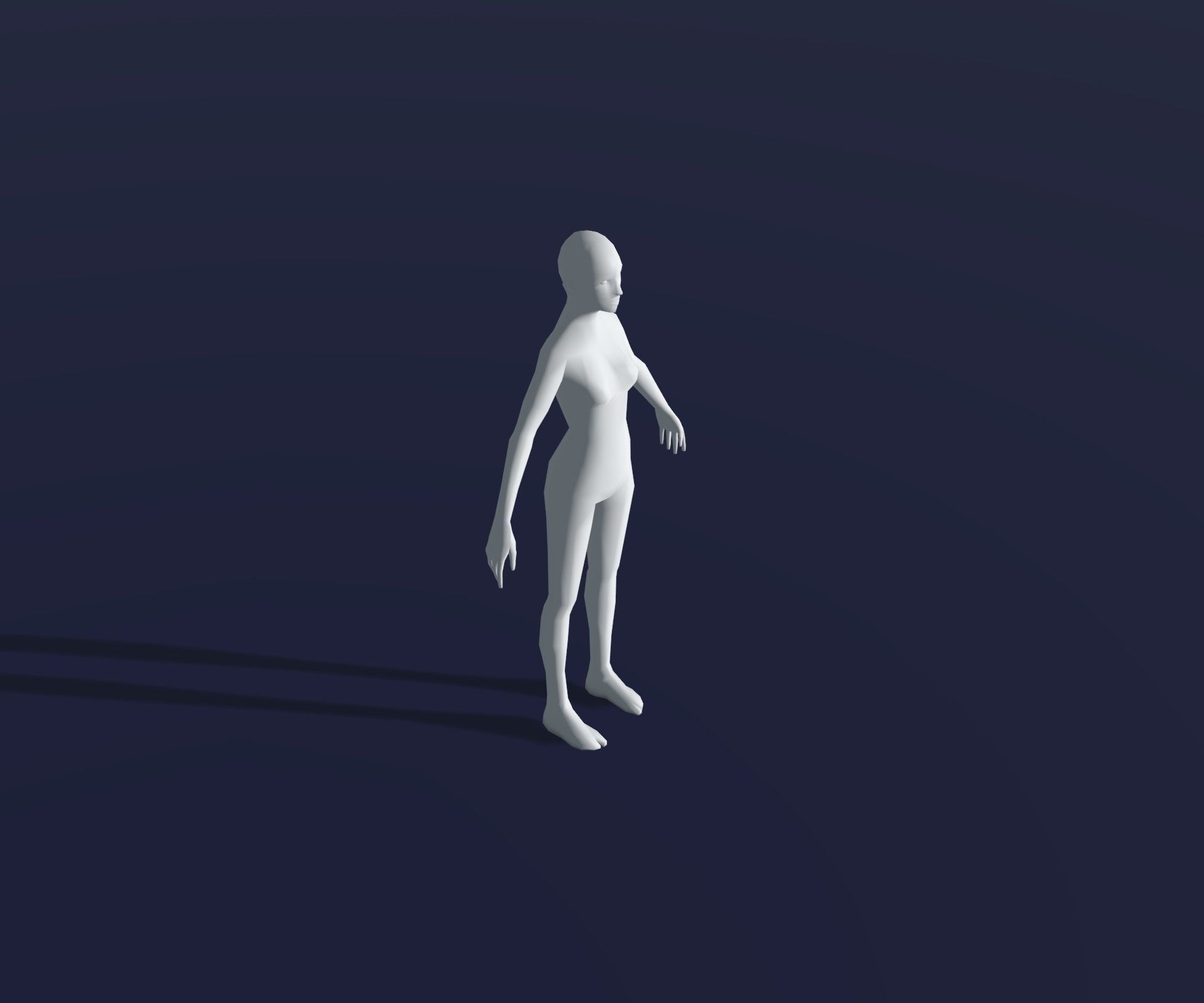 Male Female Body Base Mesh 28 Animations 3D Model 1k Polygons 3D Model Collection_13
