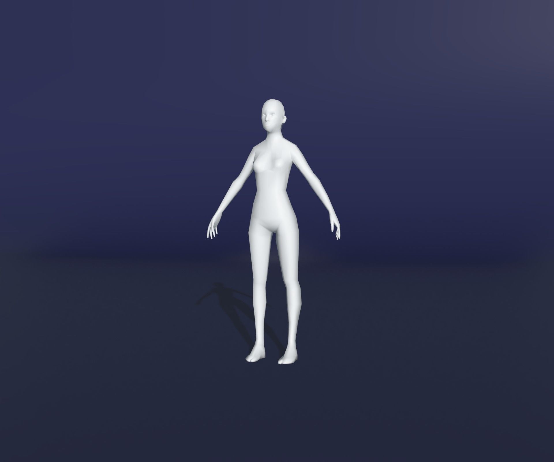 Male Female Body Base Mesh 28 Animations 3D Model 1k Polygons 3D Model Collection_20
