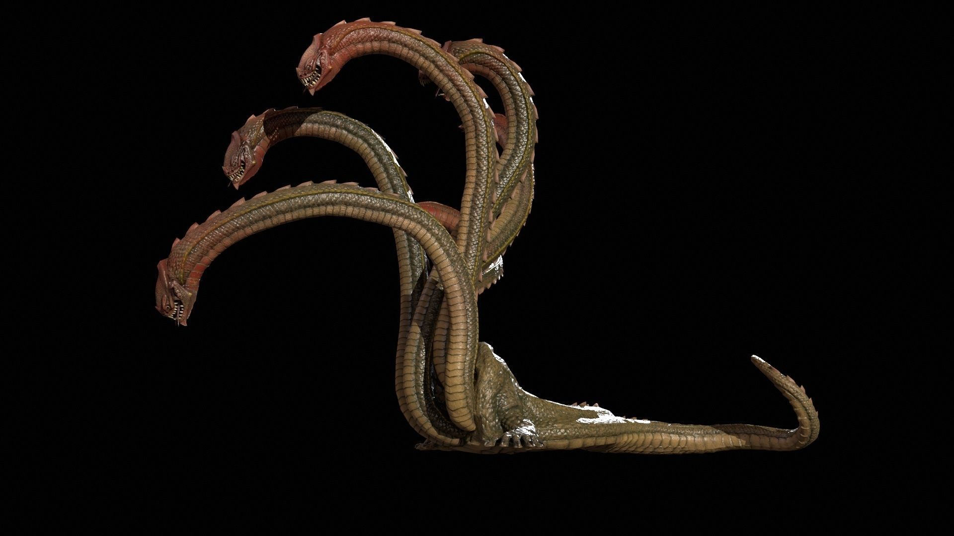 Hydra GR Low-poly 3D model_10